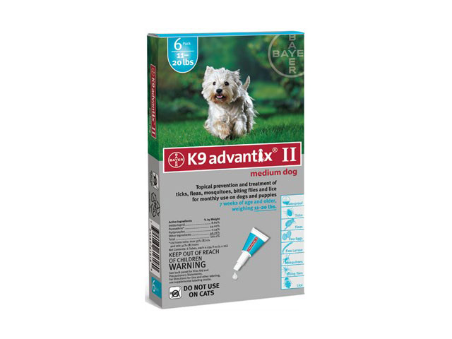 Kill Fleas The Advantix Way advantix640 Kill Fleas The Advantix Way
