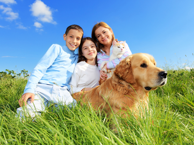 familypet Flea Products   Are OTC Products Really Safe and Effective?