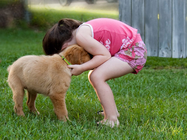 What are Coccidia? girlwithpuppy What are Coccidia?