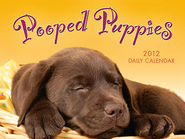 poopedpuppiy Very Cute Puppy Calendars